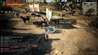 BDO T10 Doom Awakening 3 taps