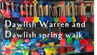 Dawlish Warren to Dawlish Walk (Devon) | February 2022