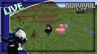Ce Este Nou Pe 1.17? - Survival 1.17  Snapshots - EP. 1