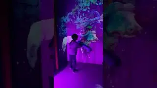 Drusillas Zoo Park UK 🇬🇧 #short #shorts #ytshorts #viralshorts #trending