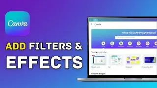 How to Add Filters and Effects in Canva PC 2025?