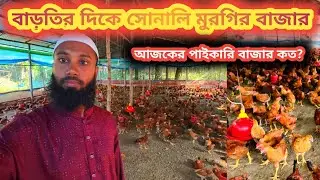 আলহামদুলিল্লাহ, বাড়তেছে সোনালি মুরগি ও বাচ্চার পাইকারি বাজার। 
