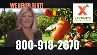 Orange Oil Kills Termites on contact!