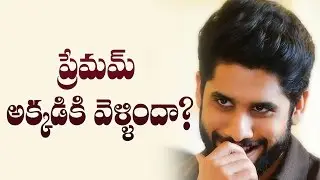 Premam Movie Release Date Confirmed || Naga Chaitanya, Shruti Haasan || Silver Screen