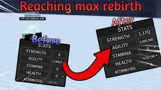 I finally reached max rebirth... | a hero's destiny