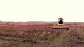 Pivot Field - Alfalfa Swathing - first cut  10-20-11