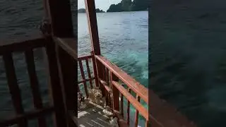 WELCOME TO NUT TONTON HOMESTAY, MISOOL RAJA AMPAT.!!!