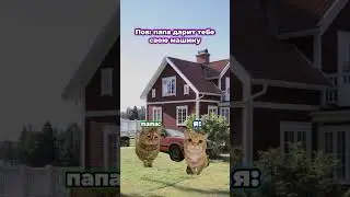 #котымемы #мем #машина #отец
