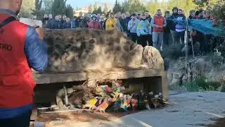 3°Prb 72°Regional de Palomos Deportivos Los Valientes (Molina) 🕊️ 💙 La Gallega De La Garnesa 15-4-25