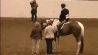 2009 APHA WORLD CHAMPION WORKING HUNTER