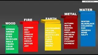 FIVE ELEMENTS CHARACTERISTICS /ACUPUNCTURE THEORIES