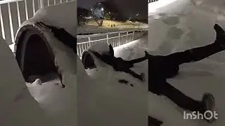 Прогулка по вечернему парку