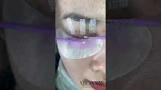 YY lashes + spire lashes