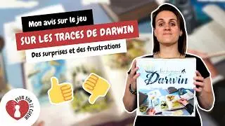 Mon avis sur le jeu 