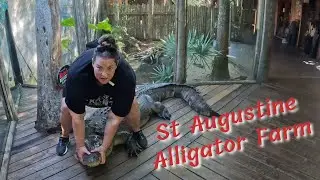 The St Augustine Alligator farm walkthrough tour 