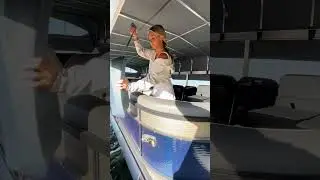 Why Pontoon Owners Are Switching To the MAVEN Fenders! #pontoon #boating #lakelife #fender