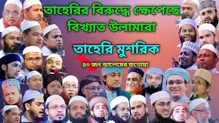 তাহেরির উপর ক্ষেপেছে ওলামায়ে কেরাম। ৪০ জন আলেমের ফতোয়া তাহেরী মুশরিক