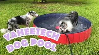 YAHEETECH DOG POOL REVIEW! / Instagram giveaway winner announced!