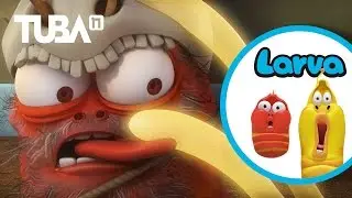 라바_시즌2_41화_야생 레드