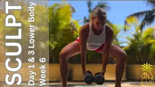 20 Rep Lower Body Workout  Build Endurance & Muscle SCULPT Week 6 (Women Over 40)