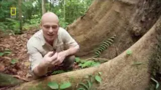 dr.mike.leahy