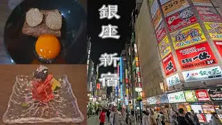 日本東京 銀座、新宿、秋葉原 | Tokyo Ginza, Shinjuku, Akihabara
