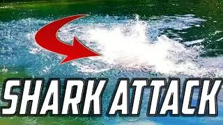 SHARK ATTACK - SWIMMING WORKOUTS 2017 - Teen powerlifter - PBM(Eldin Dzafic)