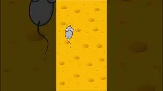 Game For Your Cat 😻