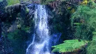 Hogarth Falls in Tasmania