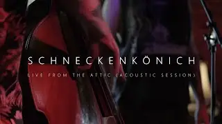 Schneckenk&ouml;nich - live from the attic (ACOUSTIC SESSION)