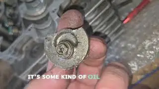 Raptor 660 cylinder head port and polish