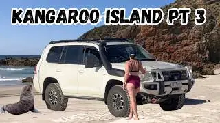Kangaroo Island Part 3 - Stokes Bay / Dead Whale / Algae Bloom / Red Banks / Ferry / Bordertown