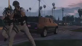 [GTAW.IO] SWAT SCHOOL