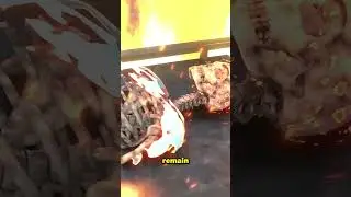 How Does Cremation Work? 😲