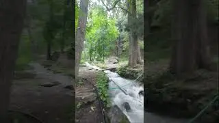 Naran Ka Woh Forest Guest House 😱 | Haqeeqat Shooting Location | True Horror History