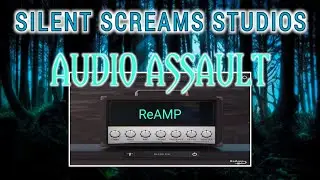Audio Assault Reamp, Gio Playing Guitar, Silent Scream Studios