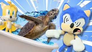 Sonic's BATH 2!- Super Sonic Squad