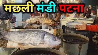 पटना का सबसे बड़ा मछली मंडी | Fish Wholesale Market In Patna | Patna Ka Fish Mandi | Cheapest Fish