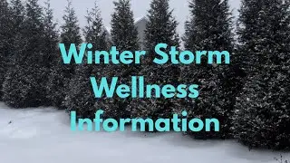 Winter Storm 2026 Wellness Information #winterstorm #winter #wellness #shoveling #fit #healthtips 