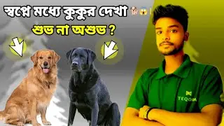 স্বপ্নে কুকুর দেখতে পেলে কি হয়? 😱 | শুভ না অশুভ? | Dog Dream Meaning Bangla