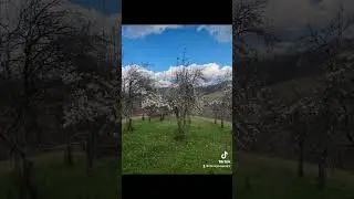 Moja Dedovina
