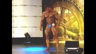 ANTON BREZNIK - FIBO 2013