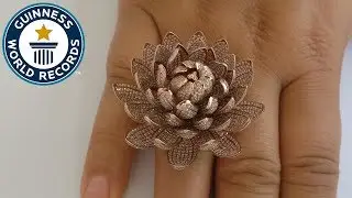 Most diamonds on a ring - Guinness World Records