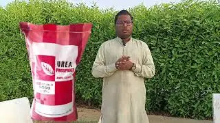 What is the difference between MAP and UP(nitrogen and phosphorus fertilizers), how to use？