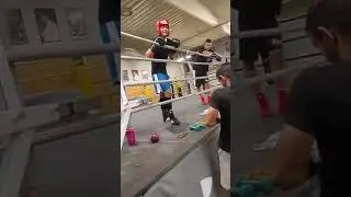 Vojta Kuki ProfiBox Barto&scaron; Rakovn&iacute;k (Sparing) Praha Zlič&iacute;n