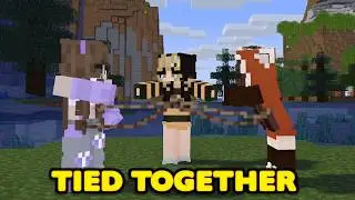 Minecraft, But we're ALL Tied Together