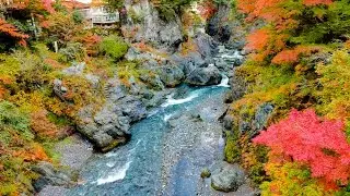 [ 4K Ultra HD ]奥多摩 鳩ノ巣渓谷の紅葉 Hatonosu Valley,Okutama,Tokyo (3-axis gimbal stabilizer)