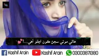 Romantic Sindhi status Video