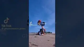 get on your hands and knees