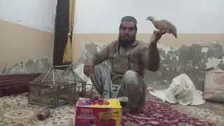 ماشااللہ 》 ہمارا کار گو کرنے ترتیب چیک کریں